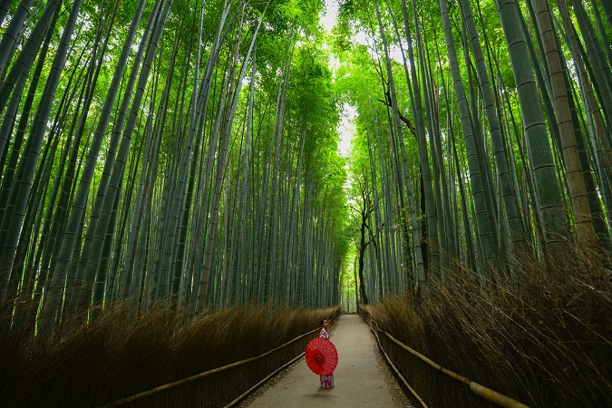 japan